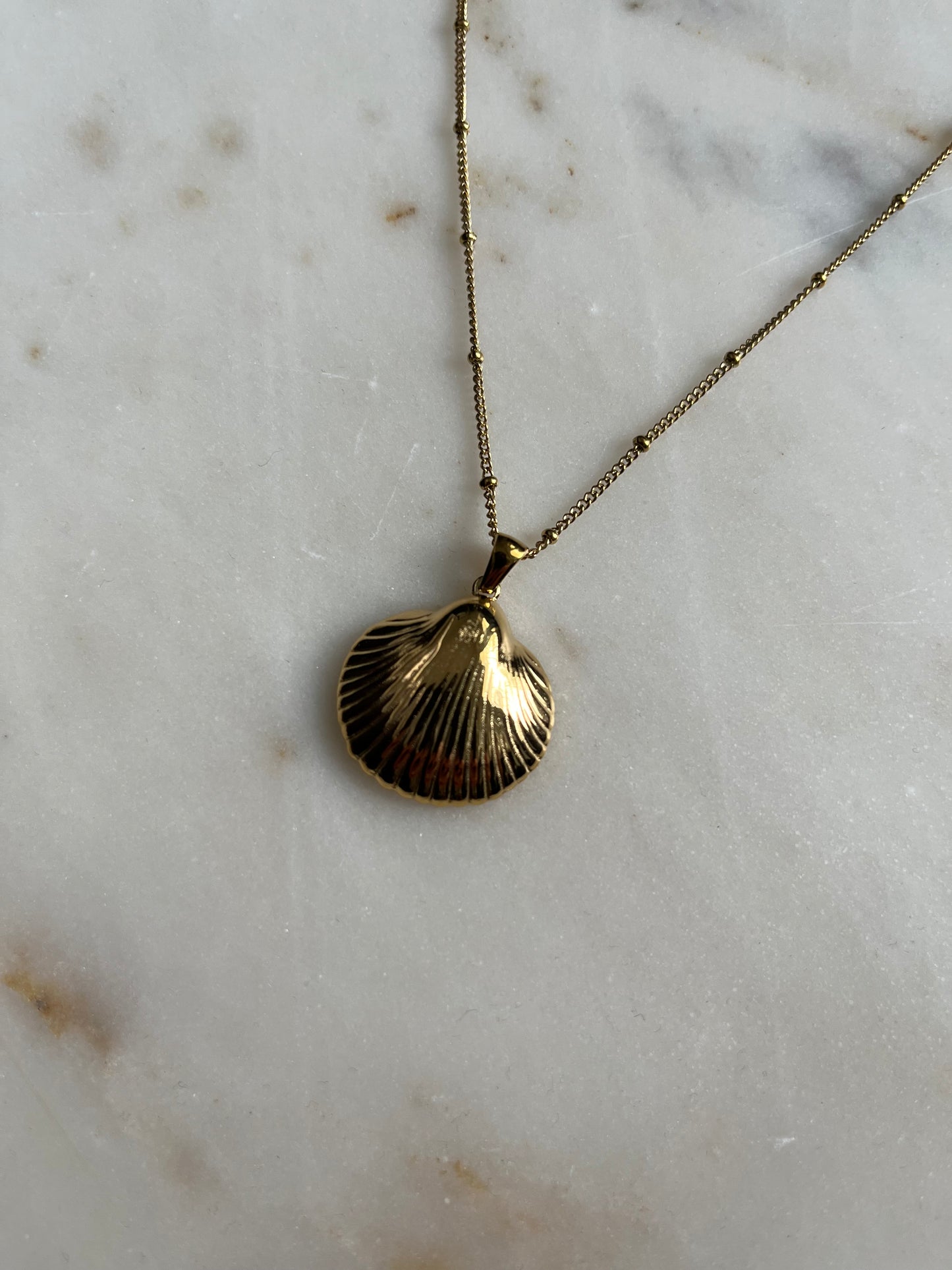 Sicilia Shell Necklace