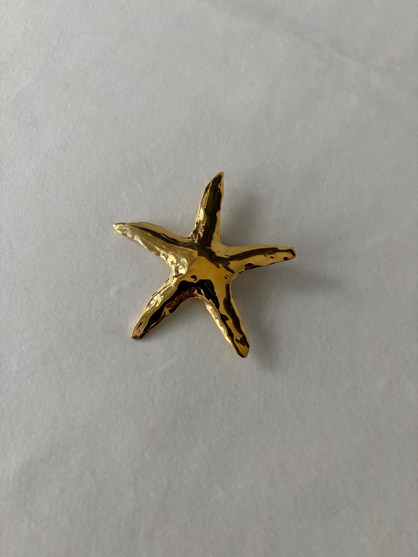 Starfish Brooch